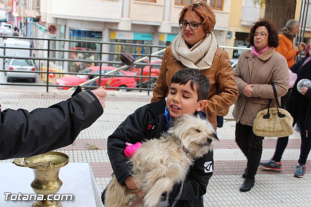 Bendicin animales San Antn 2017 - 123
