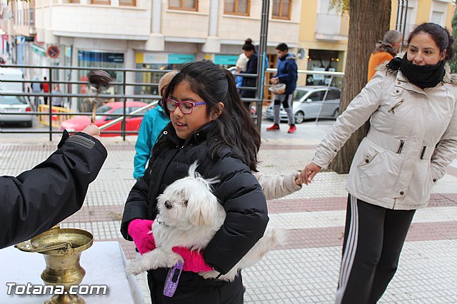 Bendicin animales San Antn 2017 - 126