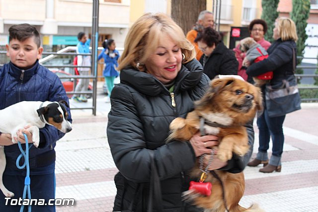 Bendicin animales San Antn 2017 - 129