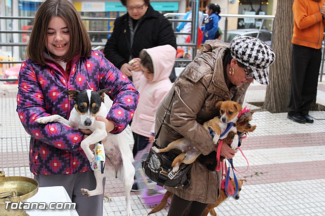 Bendicin animales San Antn 2017 - 131