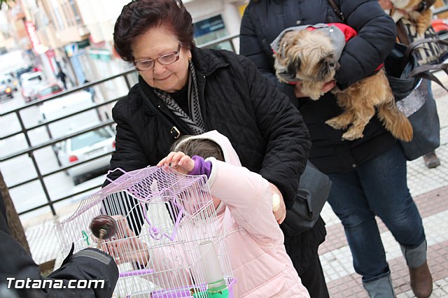 Bendicin animales San Antn 2017 - 132
