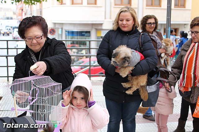 Bendicin animales San Antn 2017 - 133