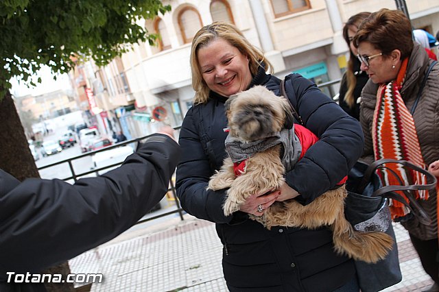 Bendicin animales San Antn 2017 - 134