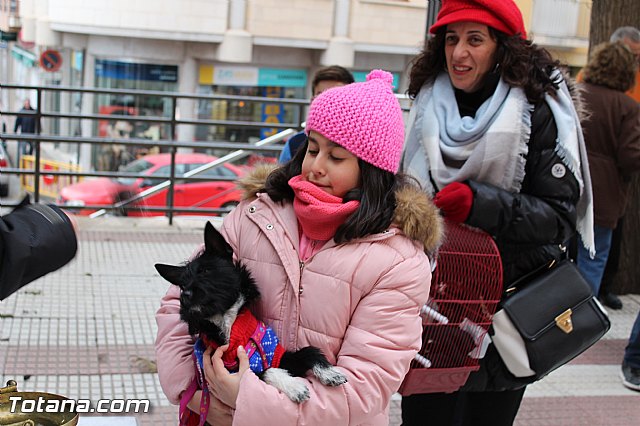 Bendicin animales San Antn 2017 - 136