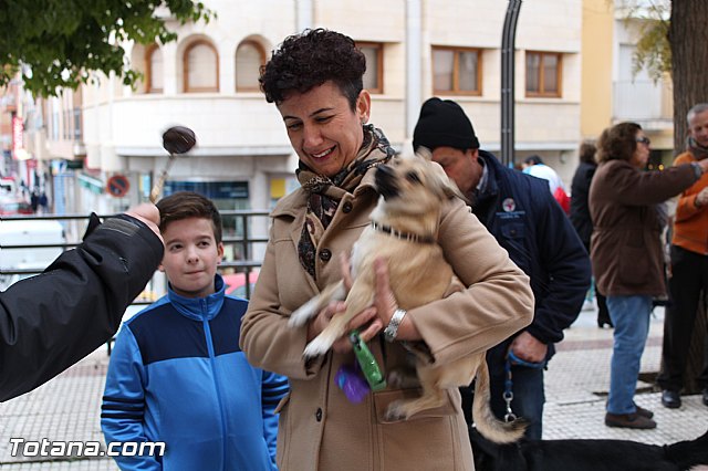 Bendicin animales San Antn 2017 - 138