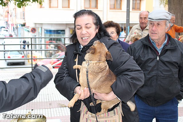 Bendicin animales San Antn 2017 - 140