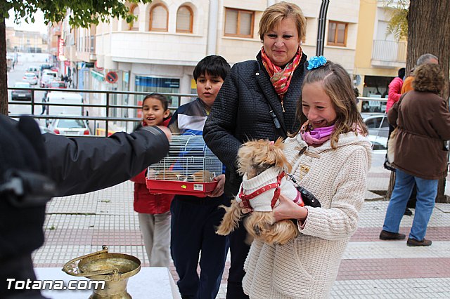 Bendicin animales San Antn 2017 - 144
