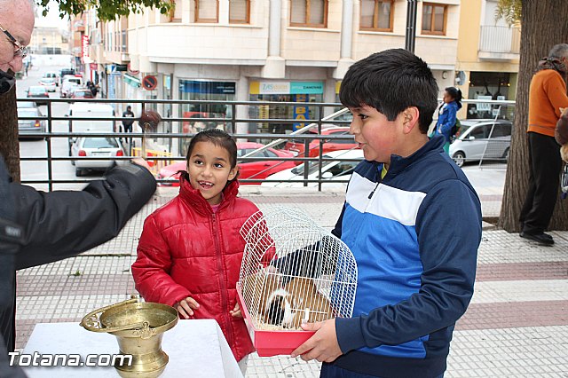 Bendicin animales San Antn 2017 - 145