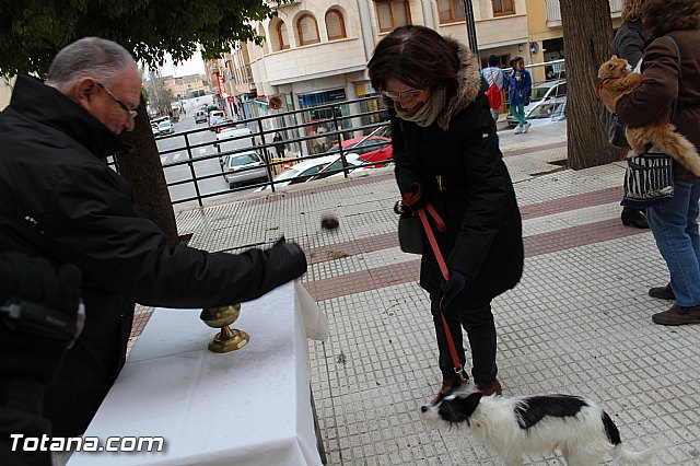 Bendicin animales San Antn 2017 - 148