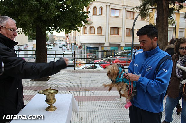 Bendicin animales San Antn 2017 - 150
