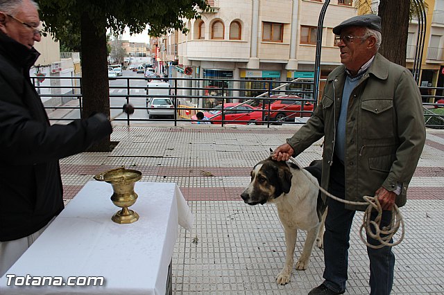 Bendicin animales San Antn 2017 - 154