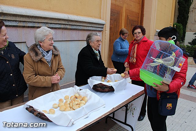 Bendicin animales San Antn 2017 - 155