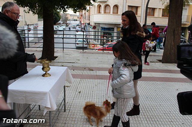 Bendicin animales San Antn 2017 - 157