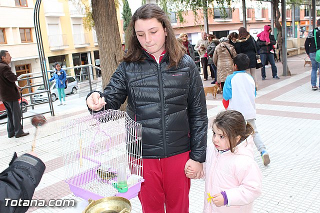 Bendicin animales San Antn 2017 - 162