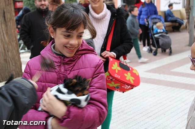 Bendicin animales San Antn 2017 - 164