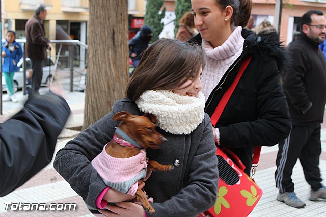 Bendicin animales San Antn 2017 - 165