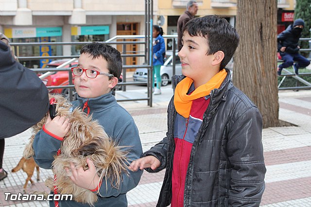 Bendicin animales San Antn 2017 - 166