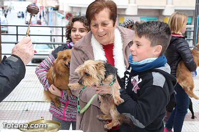 Bendicin animales San Antn 2017 - 169