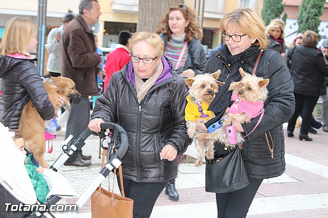 Bendicin animales San Antn 2017 - 171