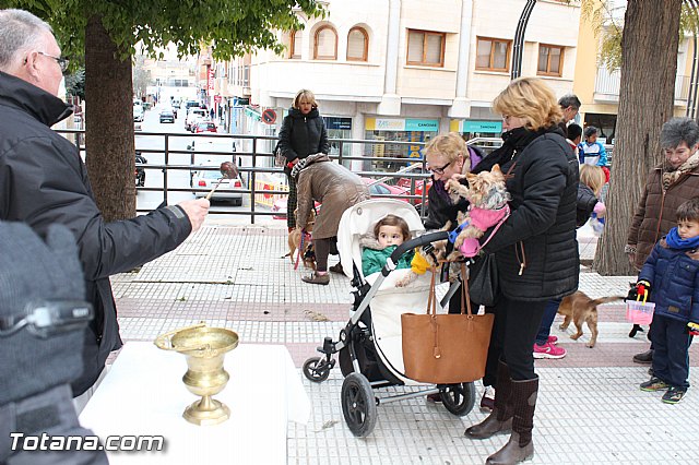 Bendicin animales San Antn 2017 - 172