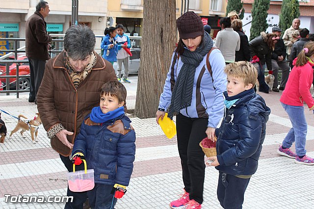 Bendicin animales San Antn 2017 - 174