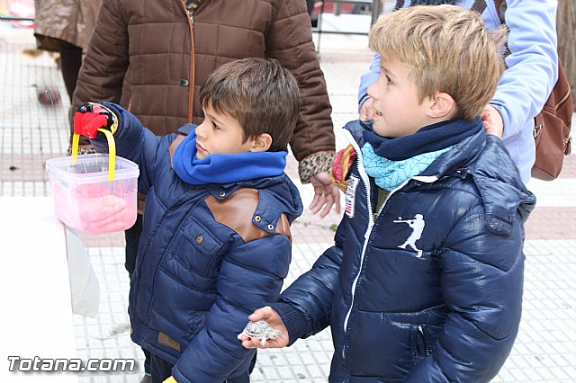 Bendicin animales San Antn 2017 - 175