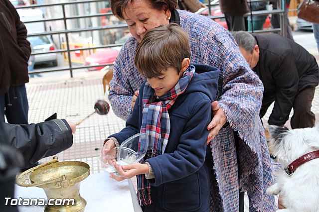 Bendicin animales San Antn 2017 - 180