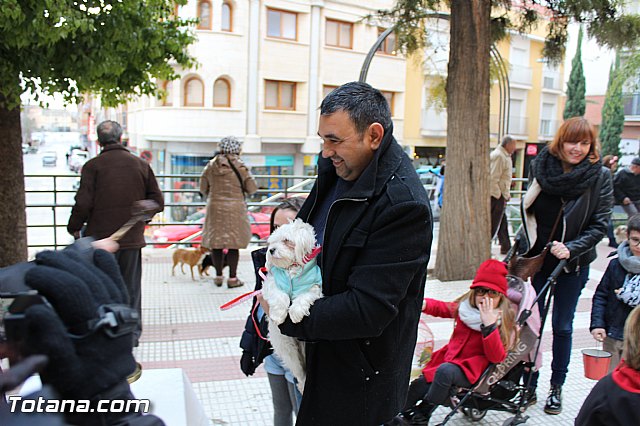 Bendicin animales San Antn 2017 - 187