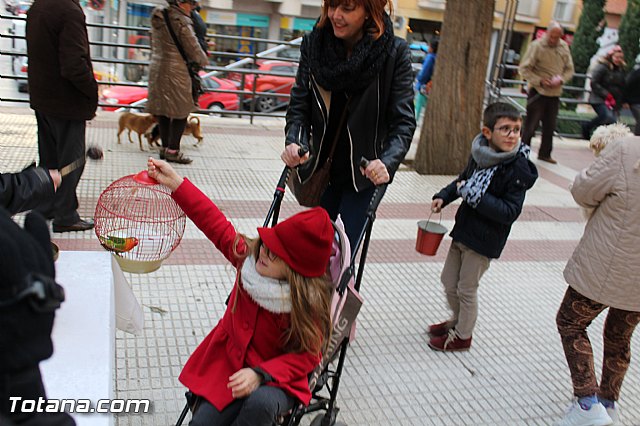 Bendicin animales San Antn 2017 - 188