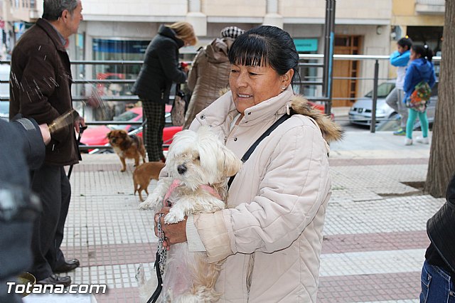 Bendicin animales San Antn 2017 - 190