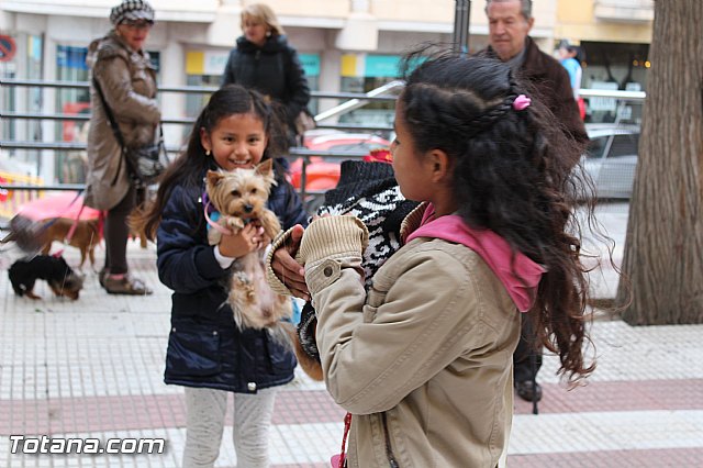 Bendicin animales San Antn 2017 - 202