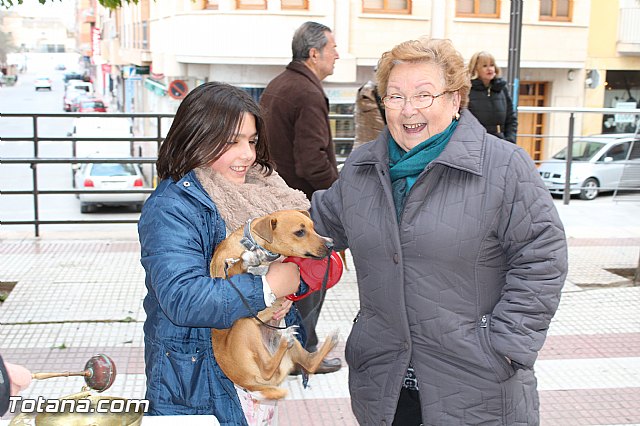 Bendicin animales San Antn 2017 - 203