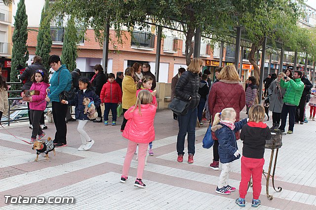 Bendicin animales San Antn 2017 - 204