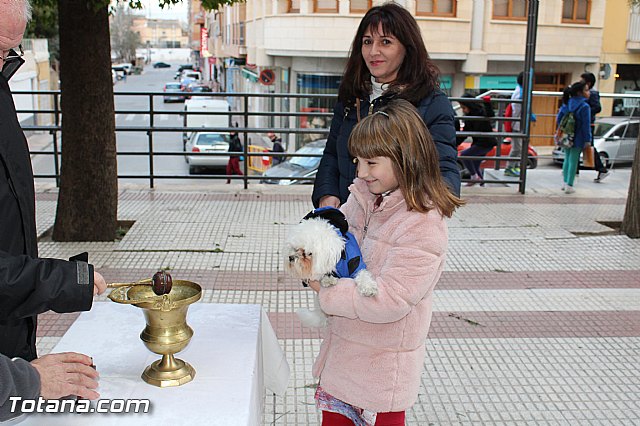 Bendicin animales San Antn 2017 - 210