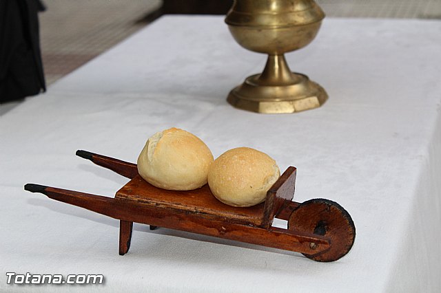 Bendicin animales San Antn 2017 - 211