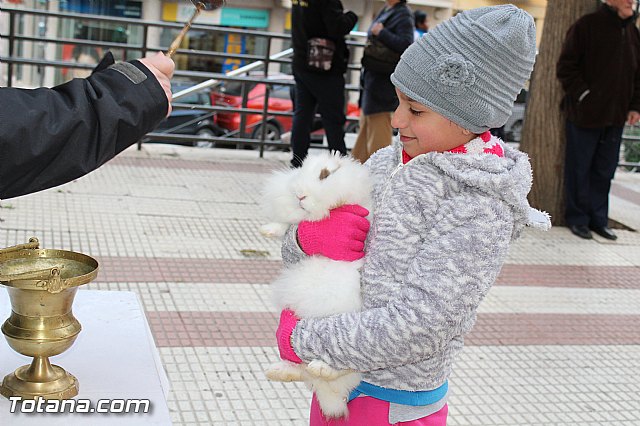 Bendicin animales San Antn 2017 - 214