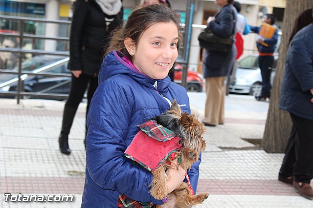 Bendicin animales San Antn 2017 - 219