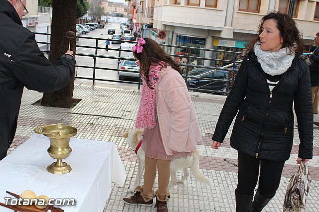 Bendicin animales San Antn 2017 - 220