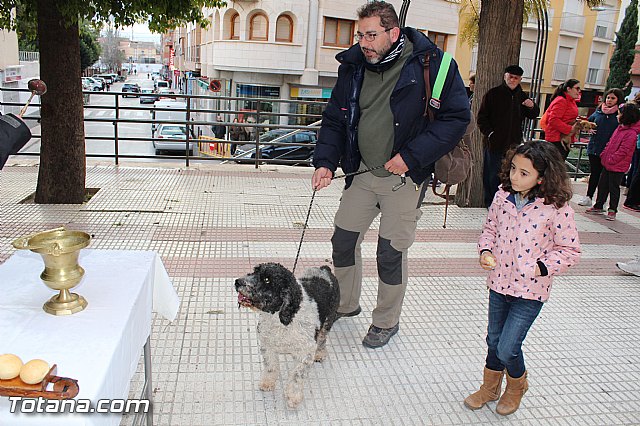 Bendicin animales San Antn 2017 - 221