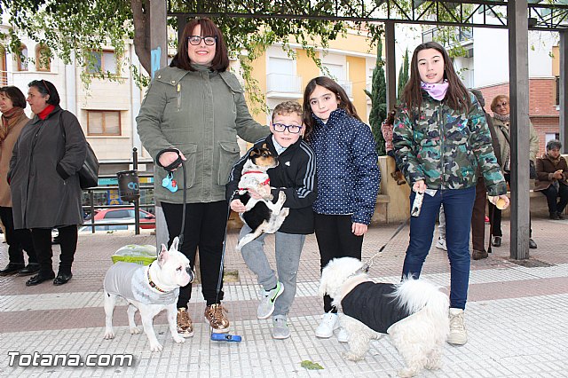 Bendicin animales San Antn 2017 - 226