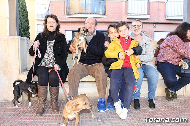 Bendicin animales San Antn 2018 - 1