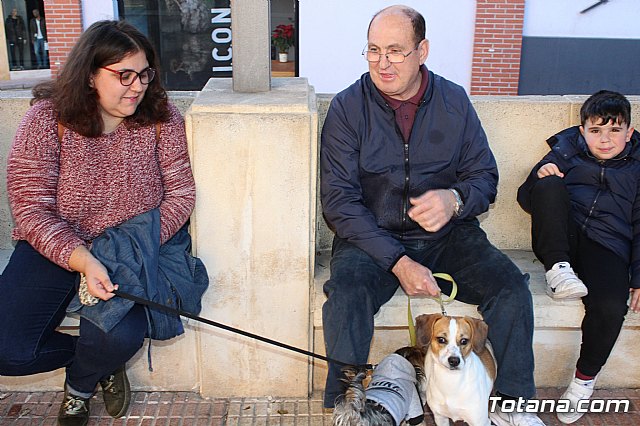 Bendicin animales San Antn 2018 - 7