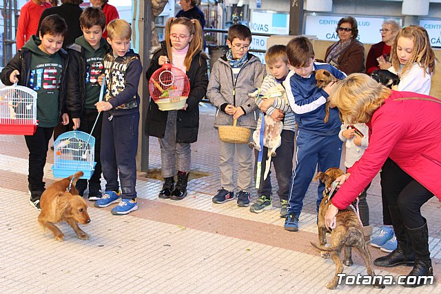 Bendicin animales San Antn 2018 - 13