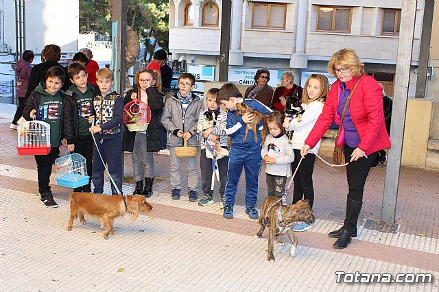 Bendicin animales San Antn 2018 - 14