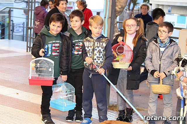 Bendicin animales San Antn 2018 - 15