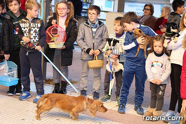 Bendicin animales San Antn 2018 - 16