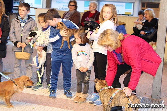 Bendicin animales San Antn 2018 - 17