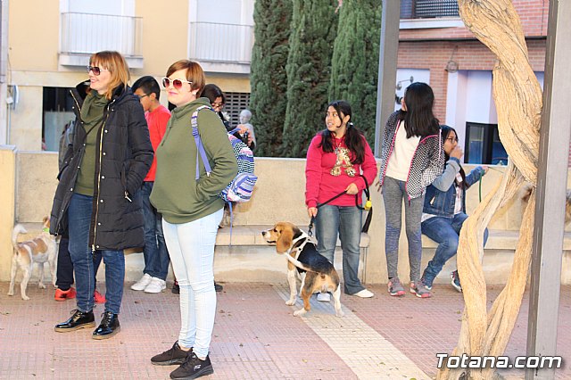 Bendicin animales San Antn 2018 - 18