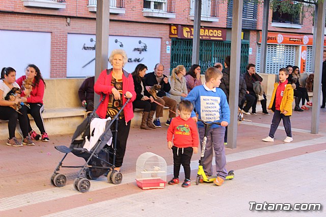 Bendicin animales San Antn 2018 - 20