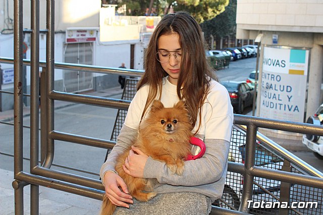 Bendicin animales San Antn 2018 - 25